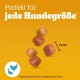 Pedigree Leckerbissen Small Dog Treats, Ideal for Training or for Between, Different Sorts Pedigree Leckerbissen Small Dog Treats, Ideal for Training or for Between, Different Sorts