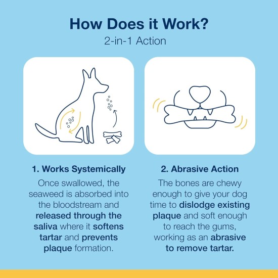 ProDen PlaqueOff 13 Dental Bones for Medium and Large Dogs - Removes Tartar, Improves Overall Oral Health (13, Chicken) ProDen PlaqueOff 13 Dental Bones for Medium and Large Dogs - Removes Tartar, Improves Overall Oral Health (13, Chicken)