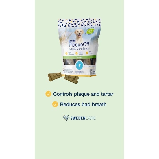 ProDen PlaqueOff 13 Dental Bones for Medium and Large Dogs - Removes Tartar, Improves Overall Oral Health (13, Chicken) ProDen PlaqueOff 13 Dental Bones for Medium and Large Dogs - Removes Tartar, Improves Overall Oral Health (13, Chicken)