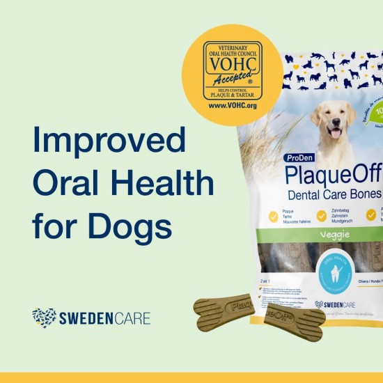 ProDen PlaqueOff 13 Dental Bones for Medium and Large Dogs - Removes Tartar, Improves Overall Oral Health (13, Chicken) ProDen PlaqueOff 13 Dental Bones for Medium and Large Dogs - Removes Tartar, Improves Overall Oral Health (13, Chicken)