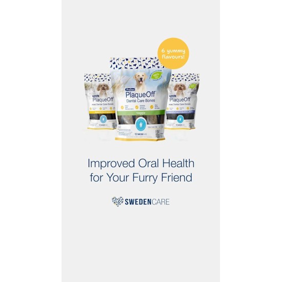 ProDen PlaqueOff 13 Dental Bones for Medium and Large Dogs - Removes Tartar, Improves Overall Oral Health (13, Chicken) ProDen PlaqueOff 13 Dental Bones for Medium and Large Dogs - Removes Tartar, Improves Overall Oral Health (13, Chicken)