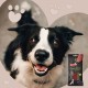 Rosewood Beef Skin Chew Bone with Duck Flavour for Small Dogs - Grain-Free and Gluten-Free Dental Care Snacks, No Artificial Additives, 80 g Rosewood Beef Skin Chew Bone with Duck Flavour for Small Dogs - Grain-Free and Gluten-Free Dental Care Snacks, No Artificial Additives, 80 g