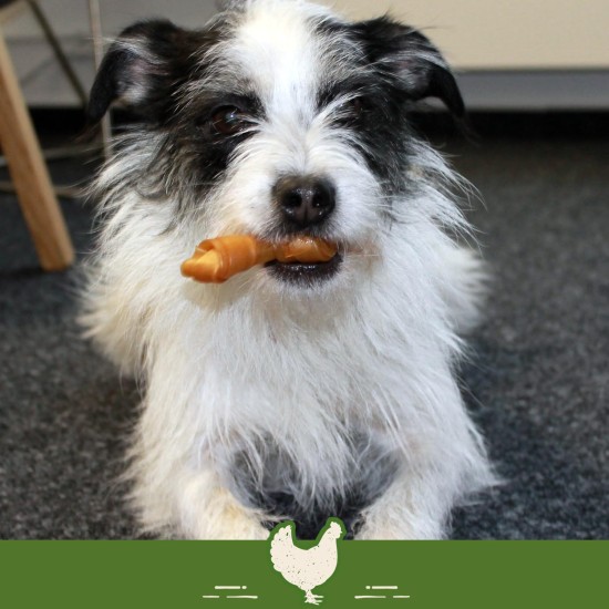 SmartBones Chew Bone Large - Chew Snack with Chicken for Large Dogs, Bones with Soft Texture, No Raw Skin, 1 Piece SmartBones Chew Bone Large - Chew Snack with Chicken for Large Dogs, Bones with Soft Texture, No Raw Skin, 1 Piece