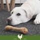 SmartBones Chew Bone Large - Chew Snack with Chicken for Large Dogs, Bones with Soft Texture, No Raw Skin, 1 Piece SmartBones Chew Bone Large - Chew Snack with Chicken for Large Dogs, Bones with Soft Texture, No Raw Skin, 1 Piece