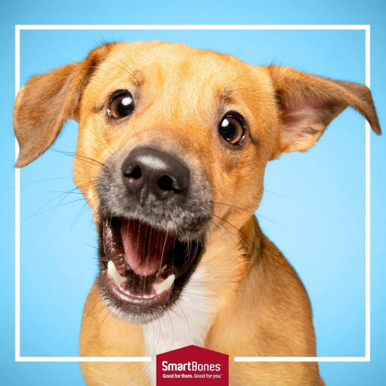 SmartBones Chicken Wrapped Sticks Medium - Dog Snack with Chicken for Medium Dogs, Soft Texture Chew Sticks without Rawhide (Pack of 5) SmartBones Chicken Wrapped Sticks Medium - Dog Snack with Chicken for Medium Dogs, Soft Texture Chew Sticks without Rawhide (Pack of 5)