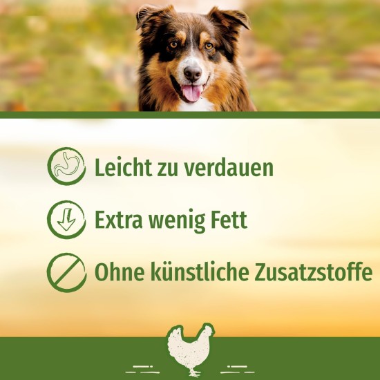SmartBones Chicken Wrapped Sticks Medium - Hundesnack mit Huhn für mittelgroße Hunde, Kaustangen mit weicher Textur, ohne Rohhaut, 5 Stück SmartBones Chicken Wrapped Sticks Medium - Hundesnack mit Huhn für mittelgroße Hunde, Kaustangen mit weicher Textur, ohne Rohhaut, 5 Stück