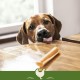 SmartBones Chicken Wrapped Sticks Medium - Hundesnack mit Huhn für mittelgroße Hunde, Kaustangen mit weicher Textur, ohne Rohhaut, 5 Stück SmartBones Chicken Wrapped Sticks Medium - Hundesnack mit Huhn für mittelgroße Hunde, Kaustangen mit weicher Textur, ohne Rohhaut, 5 Stück