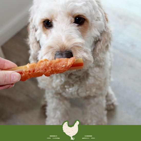 SmartBones Chicken Wrapped Sticks Medium - Hundesnack mit Huhn für mittelgroße Hunde, Kaustangen mit weicher Textur, ohne Rohhaut, 5 Stück SmartBones Chicken Wrapped Sticks Medium - Hundesnack mit Huhn für mittelgroße Hunde, Kaustangen mit weicher Textur, ohne Rohhaut, 5 Stück