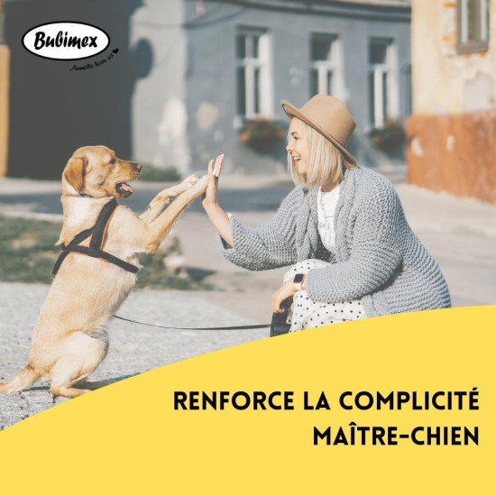 Smiley Cookies Leckerli für Hunde – Kekse Belohnung ideal zum Training – niedriger Fettgehalt – Snack Training – geeignet für alle Rassen und Größen – Eimer mit 1,3 kg Smiley Cookies Leckerli für Hunde – Kekse Belohnung ideal zum Training – niedriger Fettgehalt – Snack Training – geeignet für alle Rassen und Größen – Eimer mit 1,3 kg
