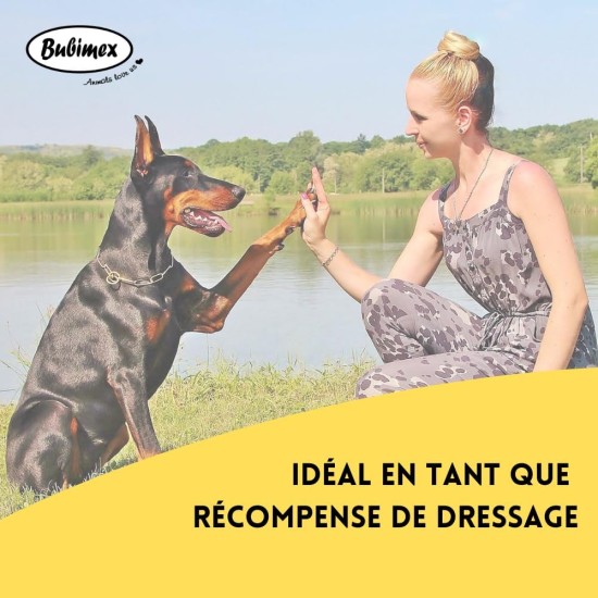 Smiley Cookies Leckerli für Hunde – Kekse Belohnung ideal zum Training – niedriger Fettgehalt – Snack Training – geeignet für alle Rassen und Größen – Eimer mit 1,3 kg Smiley Cookies Leckerli für Hunde – Kekse Belohnung ideal zum Training – niedriger Fettgehalt – Snack Training – geeignet für alle Rassen und Größen – Eimer mit 1,3 kg