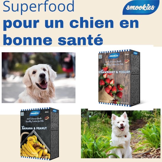 Smookies Apples & Carrots, 200 Gram Snacks für Hunde, 1 Stück (1er Pack) Smookies Apples & Carrots, 200 Gram Snacks für Hunde, 1 Stück (1er Pack)