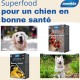 Smookies Apples & Carrots, 200 Gram Snacks für Hunde, 1 Stück (1er Pack) Smookies Apples & Carrots, 200 Gram Snacks für Hunde, 1 Stück (1er Pack)