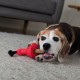 Trixie 34893 Boneguard with Rope Natural Rubber
