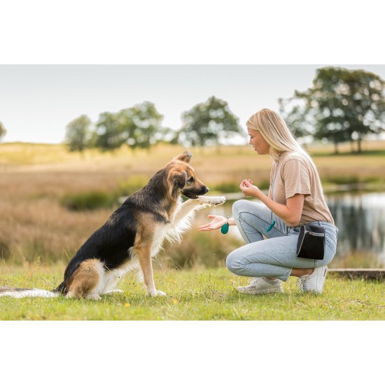 Trixie Denta Fun Chewing Bone with Duck Filling, 120 g, Pack of 10, Total of 20 Bones Trixie Denta Fun Chewing Bone with Duck Filling, 120 g, Pack of 10, Total of 20 Bones