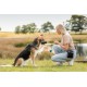 Trixie Denta Fun Five Knotted Chewing Bone with Chicken for Dog, 70 g Trixie Denta Fun Five Knotted Chewing Bone with Chicken for Dog, 70 g