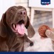 Vitakraft Beef Burger, Dog Treats, for in Between and on the Go, No Added Sugar (1 x 27 g) Vitakraft Beef Burger, Dog Treats, for in Between and on the Go, No Added Sugar (1 x 27 g)