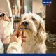 Vitakraft Beef Stick Quadros Dog Snack, Meaty Morsels, 70 g, Cheese Vitakraft Beef Stick Quadros Dog Snack, Meaty Morsels, 70 g, Cheese