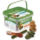 WHIMZEES By Wellness Gemischte Vielfaltsbox, Kaustangen für mittelgroße Hunde zur Zahnpflege, Größe M, 28 Stück, ohne Zuckerzusatz, getreidefrei, natürlich, fettarm WHIMZEES By Wellness Gemischte Vielfaltsbox, Kaustangen für mittelgroße Hunde zur Zahnpflege, Größe M, 28 Stück, ohne Zuckerzusatz, getreidefrei, natürlich, fettarm