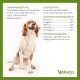 WHIMZEES by Wellness Medium 14 Pack Softer Chew Sticks for Medium Dogs for Dental Care, Gentle Care, Suitable for Aging Dogs, No Added Sugar, Grain Free WHIMZEES by Wellness Medium 14 Pack Softer Chew Sticks for Medium Dogs for Dental Care, Gentle Care, Suitable for Aging Dogs, No Added Sugar, Grain Free