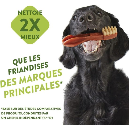 WHIMZEES by Wellness Medium 14 Pack Softer Chew Sticks for Medium Dogs for Dental Care, Gentle Care, Suitable for Aging Dogs, No Added Sugar, Grain Free WHIMZEES by Wellness Medium 14 Pack Softer Chew Sticks for Medium Dogs for Dental Care, Gentle Care, Suitable for Aging Dogs, No Added Sugar, Grain Free