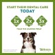 WHIMZEES by Wellness Medium 14 Pack Softer Chew Sticks for Medium Dogs for Dental Care, Gentle Care, Suitable for Aging Dogs, No Added Sugar, Grain Free WHIMZEES by Wellness Medium 14 Pack Softer Chew Sticks for Medium Dogs for Dental Care, Gentle Care, Suitable for Aging Dogs, No Added Sugar, Grain Free