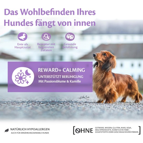 Wellness CORE Reward+ Ente & Kamille, 170 g, sanfte Hundeleckerli zur Belohnung, ohne Zuckerzusatz, getreidefrei, mit hohem Fleischanteil, fördert die Beruhigung deines Hundes Wellness CORE Reward+ Ente & Kamille, 170 g, sanfte Hundeleckerli zur Belohnung, ohne Zuckerzusatz, getreidefrei, mit hohem Fleischanteil, fördert die Beruhigung deines Hundes
