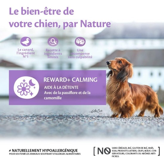 Wellness CORE Reward+ Pute, 170 g, sanfte Hundeleckerli zur Belohnung, ohne Zuckerzusatz, getreidefrei, mit hohem Fleischanteil, fördert die Mobilität deines Hundes Wellness CORE Reward+ Pute, 170 g, sanfte Hundeleckerli zur Belohnung, ohne Zuckerzusatz, getreidefrei, mit hohem Fleischanteil, fördert die Mobilität deines Hundes