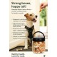 leckerli Dog - Dog Snack - with Chicken Cubes - 750 g - Sugar-Free, Protein Rich, Low Fat - Flamingo Hapki Dog Treats leckerli Dog - Dog Snack - with Chicken Cubes - 750 g - Sugar-Free, Protein Rich, Low Fat - Flamingo Hapki Dog Treats