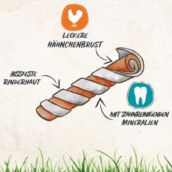 8in1 Delights Pro Dental Healthy Chew Bone Chew Sticks for Dogs for Dental Care Various Sizes: 8in1 Delights Pro Dental Healthy Chew Bone Chew Sticks for Dogs for Dental Care Various Sizes:
