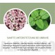 Alphazoo Peaceful Tablets | Soothing Agent for Dogs with Hemp Oil and Valerian | Against Stress and Anxiety | Natural Relaxation for Dogs with High Acceptance Alphazoo Peaceful Tablets | Soothing Agent for Dogs with Hemp Oil and Valerian | Against Stress and Anxiety | Natural Relaxation for Dogs with High Acceptance