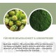 Alphazoo Peaceful Tablets | Soothing Agent for Dogs with Hemp Oil and Valerian | Against Stress and Anxiety | Natural Relaxation for Dogs with High Acceptance Alphazoo Peaceful Tablets | Soothing Agent for Dogs with Hemp Oil and Valerian | Against Stress and Anxiety | Natural Relaxation for Dogs with High Acceptance