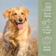 Alphazoo Peaceful Tablets | Soothing Agent for Dogs with Hemp Oil and Valerian | Against Stress and Anxiety | Natural Relaxation for Dogs with High Acceptance Alphazoo Peaceful Tablets | Soothing Agent for Dogs with Hemp Oil and Valerian | Against Stress and Anxiety | Natural Relaxation for Dogs with High Acceptance