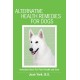 Alternative Health Remedies for Dogs