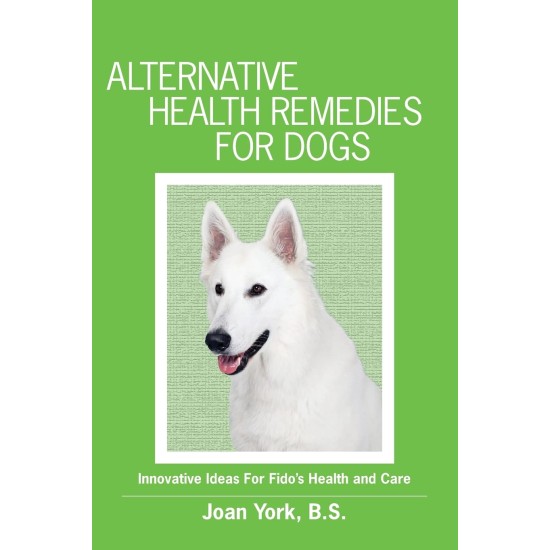 Alternative Health Remedies for Dogs