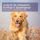 AniForte Relax Snack for Dogs 300 g - Natural Relaxation & Soothing, Anti-Stress Snack, with Valerian, Melissa, Rosemary, Supports Stress Situations, Anxiety, Nervousness AniForte Relax Snack for Dogs 300 g - Natural Relaxation & Soothing, Anti-Stress Snack, with Valerian, Melissa, Rosemary, Supports Stress Situations, Anxiety, Nervousness