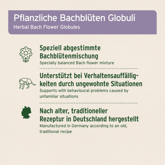 AniForte Stress & Anxiety Globuli for Dogs, Cats, Pets - Bach Flowers for Soothing, Natural Soothing for Fear, Anxiety, Travel, Car, Holiday, Dangerous Weather and Noise & Rescue AniForte Stress & Anxiety Globuli for Dogs, Cats, Pets - Bach Flowers for Soothing, Natural Soothing for Fear, Anxiety, Travel, Car, Holiday, Dangerous Weather and Noise & Rescue