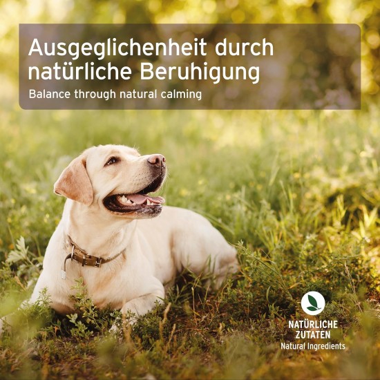 AniForte Stress & Anxiety Globuli for Dogs, Cats, Pets - Bach Flowers for Soothing, Natural Soothing for Fear, Anxiety, Travel, Car, Holiday, Dangerous Weather and Noise & Rescue AniForte Stress & Anxiety Globuli for Dogs, Cats, Pets - Bach Flowers for Soothing, Natural Soothing for Fear, Anxiety, Travel, Car, Holiday, Dangerous Weather and Noise & Rescue