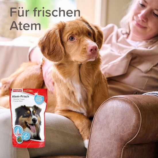 Beaphar Atem-Frisch, Pack of 1 (1 x 100 g) Beaphar Atem-Frisch, Pack of 1 (1 x 100 g)