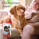 Beaphar Atem-Frisch, Pack of 1 (1 x 100 g) Beaphar Atem-Frisch, Pack of 1 (1 x 100 g)