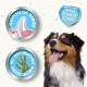 Beaphar Dental Care Sticks - For Large Dogs - Dental Care Snack - With Natural Seaweed - No Added Sugar - 7 Pieces, 182 g (Pack of 1)
