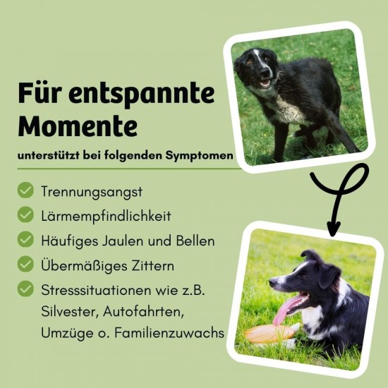 BugBell Grain-Free Dog Snack for Bones & Joints 60 g, for Osteoarthritis, Patella Luxation, with Green-Lipped Mussel & Spirulina & Willow Bark & Devil's Claw BugBell Grain-Free Dog Snack for Bones & Joints 60 g, for Osteoarthritis, Patella Luxation, with Green-Lipped Mussel & Spirulina & Willow Bark & Devil's Claw