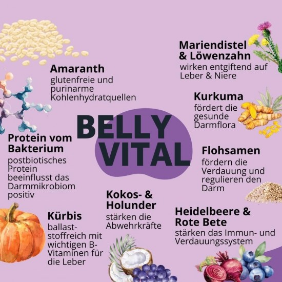 BugBell Grain-Free Dog Snack for Bones & Joints 60 g, for Osteoarthritis, Patella Luxation, with Green-Lipped Mussel & Spirulina & Willow Bark & Devil's Claw BugBell Grain-Free Dog Snack for Bones & Joints 60 g, for Osteoarthritis, Patella Luxation, with Green-Lipped Mussel & Spirulina & Willow Bark & Devil's Claw