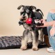CERDA Life's Little Moments - for Fan Pets | Mickey Mouse Dental String - Officially Licensed by Disney® CERDA Life's Little Moments - for Fan Pets | Mickey Mouse Dental String - Officially Licensed by Disney®