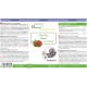 Cadoc - Natural Exclusive Rose Hip Powder Cadoc - Natural Exclusive Rose Hip Powder