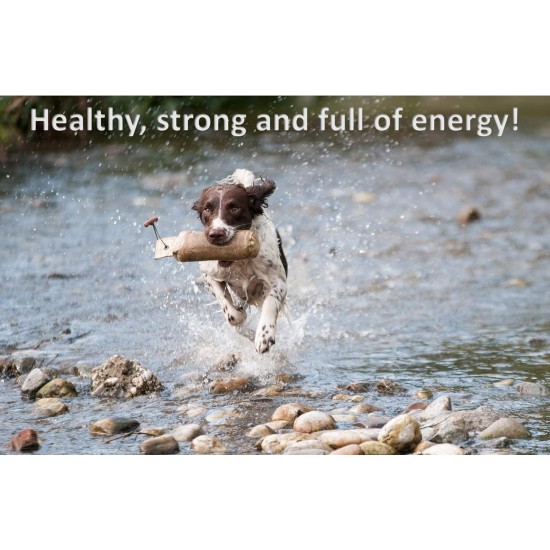 Cadoc - Nature Exclusive Cistus Supplement for Dogs Cadoc - Nature Exclusive Cistus Supplement for Dogs