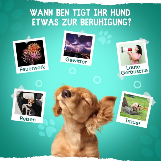 Calming Agent for Dogs - 120 Relaxation Capsules with Taurine, Ashwagandha, Passion Flower & Vitamin B1 - Alternative to Sleeping Pills for Anxiety, Stress, Anxiety - High Acceptance - animigo Calming Agent for Dogs - 120 Relaxation Capsules with Taurine, Ashwagandha, Passion Flower & Vitamin B1 - Alternative to Sleeping Pills for Anxiety, Stress, Anxiety - High Acceptance - animigo