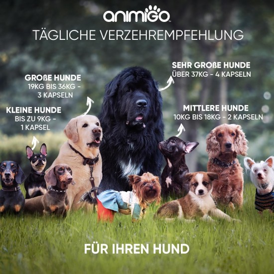 Calming Agent for Dogs - 120 Relaxation Capsules with Taurine, Ashwagandha, Passion Flower & Vitamin B1 - Alternative to Sleeping Pills for Anxiety, Stress, Anxiety - High Acceptance - animigo Calming Agent for Dogs - 120 Relaxation Capsules with Taurine, Ashwagandha, Passion Flower & Vitamin B1 - Alternative to Sleeping Pills for Anxiety, Stress, Anxiety - High Acceptance - animigo