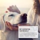 Calming Agent for Dogs as Snacks with Valerian & St. John's Wort, for Anxiety, New Year's Eve, Stress, Car Ride & Travel - For Natural Calming & Relaxation I Grain-Free Dog Treats Calming Agent for Dogs as Snacks with Valerian & St. John's Wort, for Anxiety, New Year's Eve, Stress, Car Ride & Travel - For Natural Calming & Relaxation I Grain-Free Dog Treats
