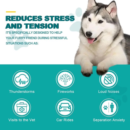 Calming Chew for Dogs (Salmon Aroma Pack of 110), Soothing Chews for Pets, ti Stress Snack for Your Dog, Promotes Relaxation, Reduce Stress, with Natural Ingredients Calming Chew for Dogs (Salmon Aroma Pack of 110), Soothing Chews for Pets, ti Stress Snack for Your Dog, Promotes Relaxation, Reduce Stress, with Natural Ingredients