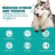 Calming Chew for Dogs (Salmon Aroma Pack of 110), Soothing Chews for Pets, ti Stress Snack for Your Dog, Promotes Relaxation, Reduce Stress, with Natural Ingredients Calming Chew for Dogs (Salmon Aroma Pack of 110), Soothing Chews for Pets, ti Stress Snack for Your Dog, Promotes Relaxation, Reduce Stress, with Natural Ingredients